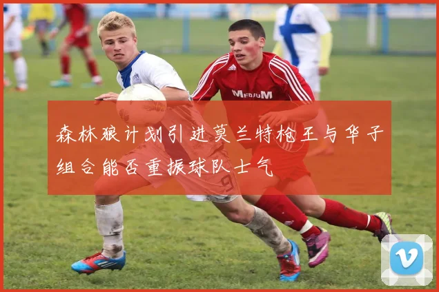 森林狼计划引进莫兰特枪王与华子组合能否重振球队士气