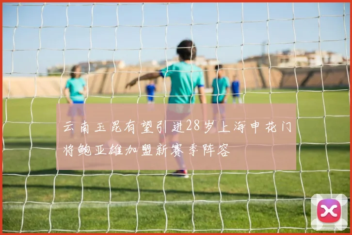 云南玉昆有望引进28岁上海申花门将鲍亚雄加盟新赛季阵容